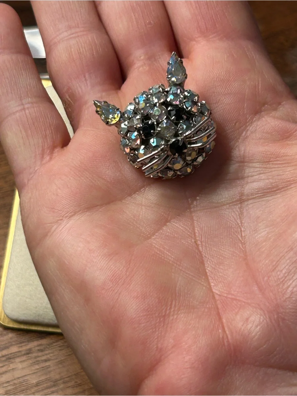 Vintage Warner rhinestone cat brooch